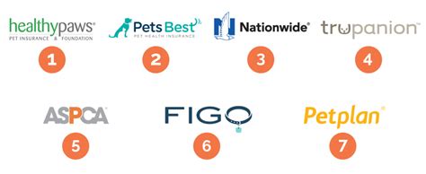 pet insurance for 10 year old dog